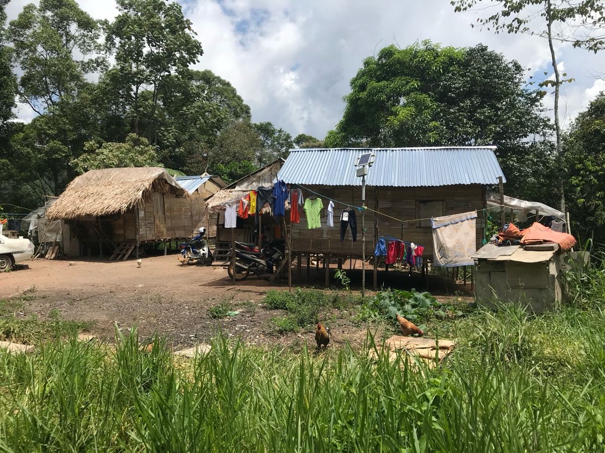 Cameron Valley Tea plantations